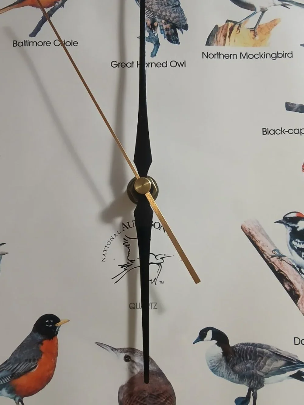 House Wren Singing Bird Clock
